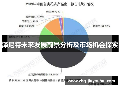 泽尼特未来发展前景分析及市场机会探索