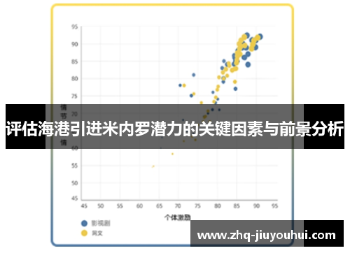 评估海港引进米内罗潜力的关键因素与前景分析